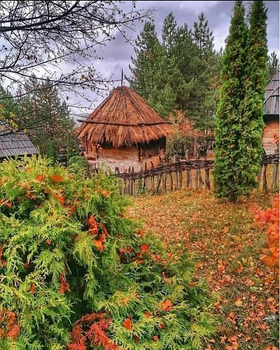 Сирогојно као најпознатије златиборско село и чувар планинске традиције  Златиборска идила међу вековним брвнарама у срцу Сирогојна  Сва села Златибор имају душу али Сирогојно је прави планински рај и музеј под небом  Златиборска природа која грли аутентичне куће у селу Сирогојно  Нестваран Златибор и призор старе архитектуре коју чува ово златиборско село