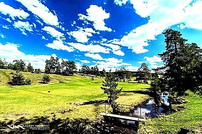 Водице као најлепши златиборски рај и најпрепознатљивији пејзаж ове планине  Златиборска природа на Водицама са реком Рзав која кривуда кроз планинско поље  Златиборска идила на Водицама са чувеним боровима који су симбол за сва села Златибор  Сва златиборска села су посебна али Водице нуде најлепши планински поглед  Златибор и његов нестварни мир који можете пронаћи само на Водицама