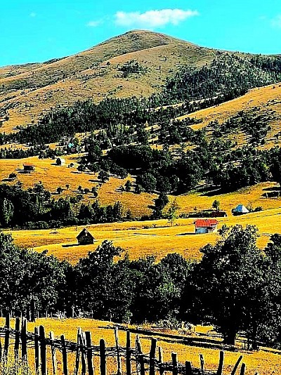 Драглица као златиборско село које спаја сурову планину и нестваран планински рај  Златиборска природа у Драглици са погледом на густе четинарске шуме Муртенице  Златиборска идила на висовима Драглице где се чист ваздух осећа у сваком даху  Сва села Златибор имају своју причу а Драглица прича причу о истрајности и лепоти  Златибор и његови најскривенији делови приказани кроз пејзаж села Драглица