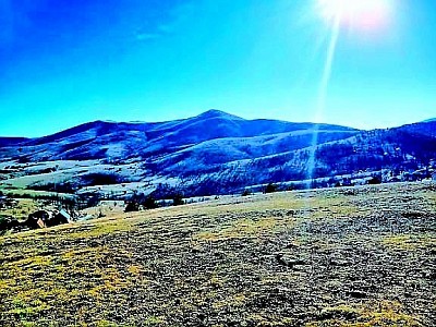 Голово као ушушкано златиборско село где време као да је стало у најлепшем смислу  Златиборска природа у селу Голово са пашњацима који подсећају на најлепши планински рај  Златиборска идила на мирним брдима Голова далеко од било какве градске гужве  Сва села Златибор имају своју лепоту али Голово нуди посебан мир и тишину  Златибор и његови воћњаци који красе свако домаћинство у овом златиборском селу