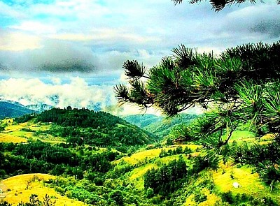 Мушвете као златиборско село које је прави планински рај за љубитеље домаћих деликатеса  Златиборска природа у селу Мушвете са широким видиковцима и чистим ваздухом  Златиборска идила у Мушветама док се мирис дима шири из традиционалних сушара  Сва села Златибор имају своју лепоту али Мушвете нуде посебан спој традиције и природе  Златибор и његови вредни домаћини који чине ово златиборско село посебним