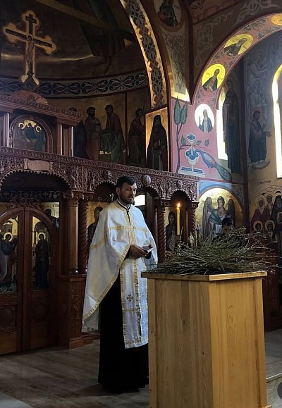 Лазарева субота – Врбица у Чајетини