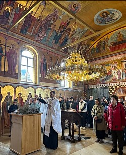 Фотографија снимљена у цркви Светог Архангела Гаврила у Чајетини на Златибору током Врбице. Приказан је чин кађења и освећења врбових гранчица (врбице) на Лазареву суботу 2026. Протојереј-ставрофор Петар Лазић, у црној раси и камилавци, држи сребрну кадионицу којом кади сноп гранчица на дрвеном постољу. Поред њега стоји помоћник у сивој одежди. Са десне стране, у реду стоје верници Чајетинске парохије који присуствују литургији, укључујући старију жену у црвеној јакни и жену у беж капуту. Изнад главе им виси велики златни полијелеј. Позадина је богата византијским фрескама са златном подлогом које покривају целу куполу и зидове храма, са јасним приказима светаца и сцене Крштења Христовог. Један верник држи запаљену свећу. Ова слика динамично бележи православни догађај у Чајетини